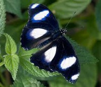 /album/galleria-fotografica/brgnsfgfndyfd-gbtdhdhyytuk7t8-jpg/